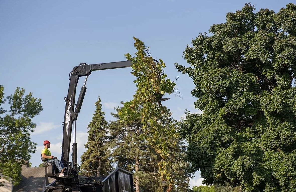 Commercial crane-assisted tree removal for property in Lake Stevens, WA