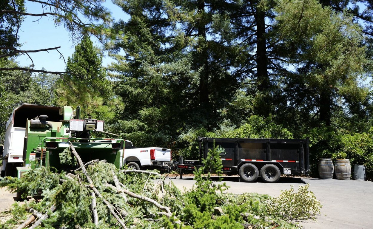 Storm cleanup and tree debris removal equipment in Lake Stevens, WA