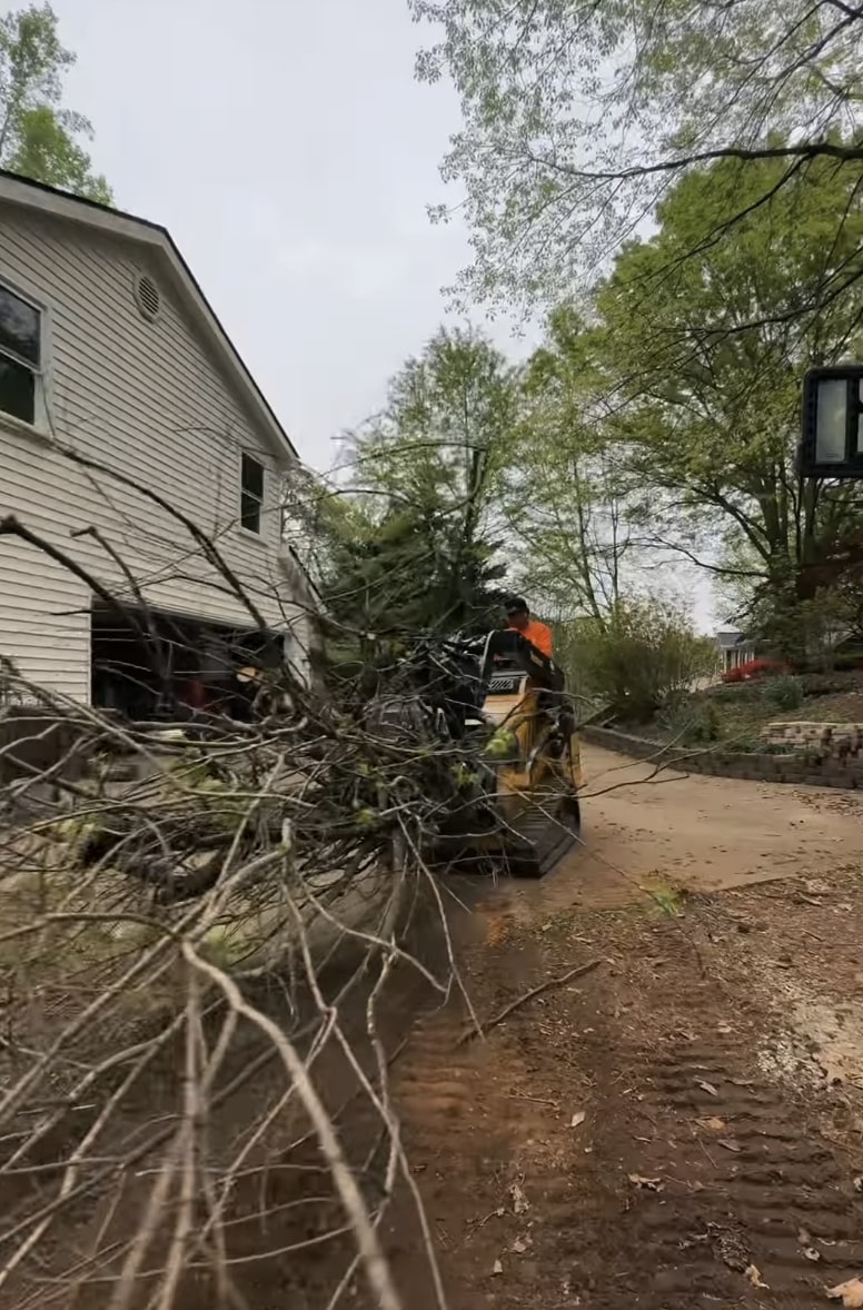 Emergency tree removal service after storm damage in Lake Stevens, WA